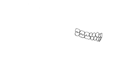 Desert Ridge
